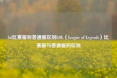 lol比赛服和普通服区别LOL（League of Legends）比赛服与普通服的区别