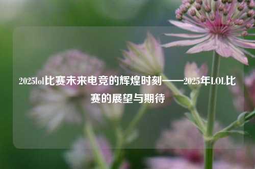 2025lol比赛未来电竞的辉煌时刻——2025年LOL比赛的展望与期待