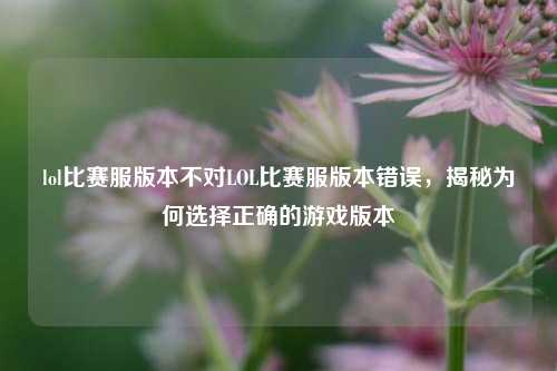 lol比赛服版本不对LOL比赛服版本错误，揭秘为何选择正确的游戏版本