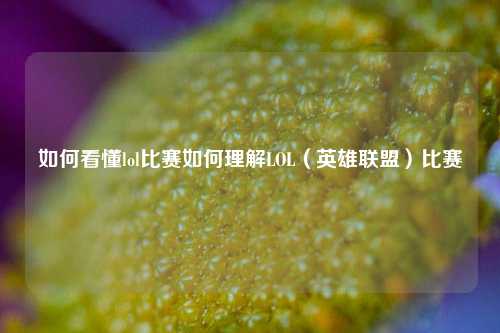 如何看懂lol比赛如何理解LOL（英雄联盟）比赛