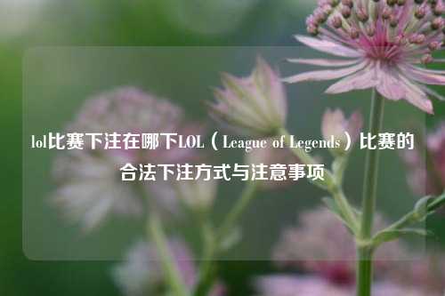 lol比赛下注在哪下LOL（League of Legends）比赛的合法下注方式与注意事项