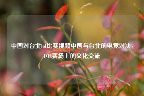 中国对台北lol比赛视频中国与台北的电竞对决，LOL赛场上的文化交流