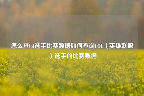 怎么查lol选手比赛数据如何查询LOL（英雄联盟）选手的比赛数据