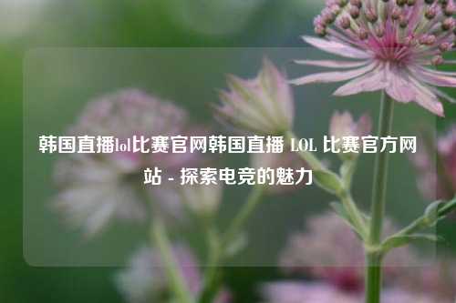 韩国直播lol比赛官网韩国直播 LOL 比赛官方网站 - 探索电竞的魅力