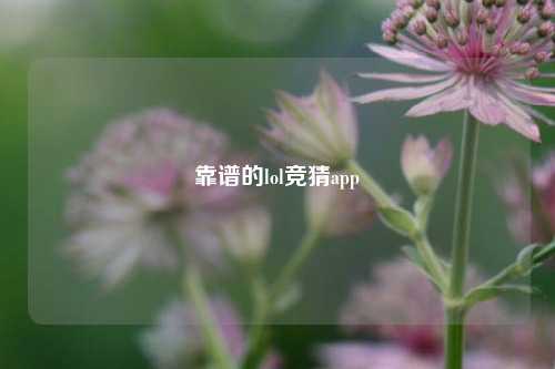靠谱的lol竞猜app