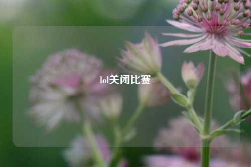 lol关闭比赛