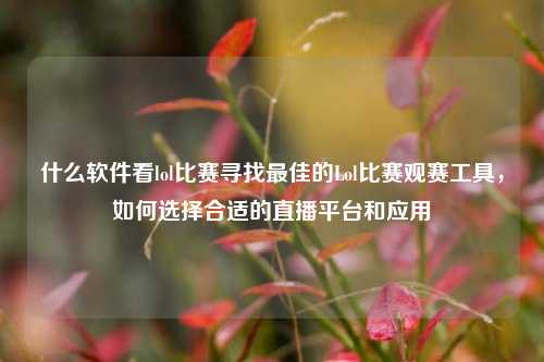 什么软件看lol比赛寻找最佳的Lol比赛观赛工具，如何选择合适的直播平台和应用