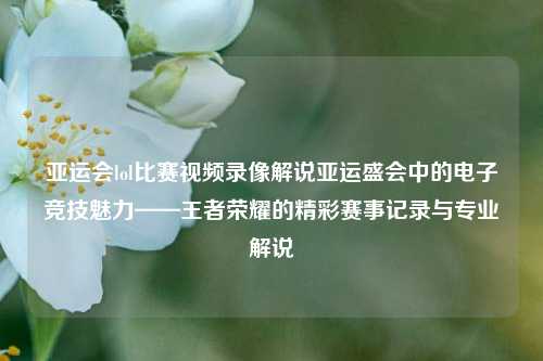 亚运会lol比赛视频录像解说亚运盛会中的电子竞技魅力——王者荣耀的精彩赛事记录与专业解说