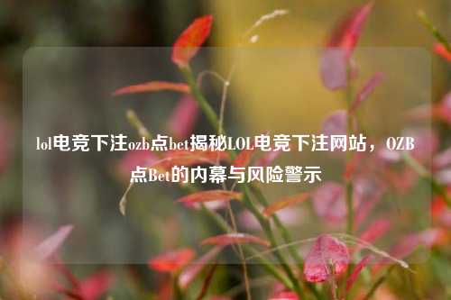 lol电竞下注ozb点bet揭秘LOL电竞下注网站，OZB点Bet的内幕与风险警示