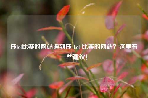 压lol比赛的网站遇到压 Lol 比赛的网站？这里有一些建议！