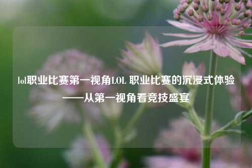lol职业比赛第一视角LOL 职业比赛的沉浸式体验——从第一视角看竞技盛宴