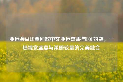 亚运会lol比赛回放中文亚运盛事与LOL对决，一场视觉盛宴与策略较量的完美融合
