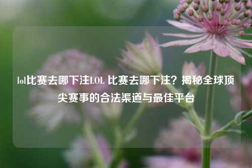lol比赛去哪下注LOL 比赛去哪下注？揭秘全球顶尖赛事的合法渠道与最佳平台