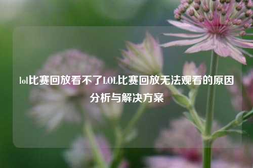lol比赛回放看不了LOL比赛回放无法观看的原因分析与解决方案
