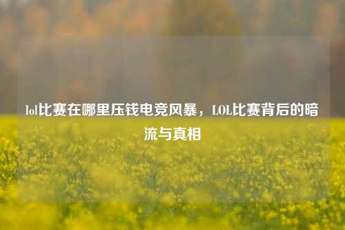 lol比赛在哪里压钱电竞风暴，LOL比赛背后的暗流与真相