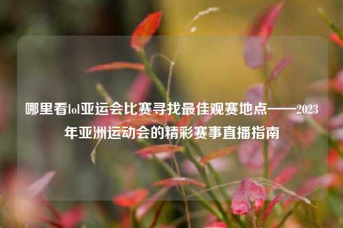 哪里看lol亚运会比赛寻找最佳观赛地点——2023年亚洲运动会的精彩赛事直播指南