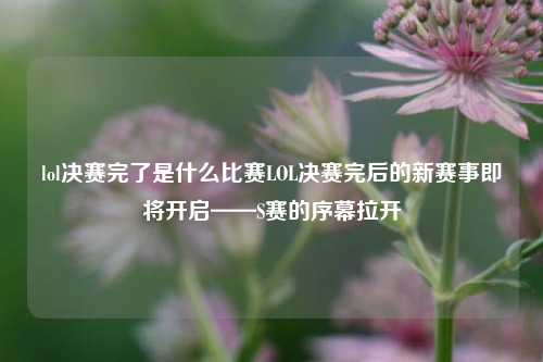 lol决赛完了是什么比赛LOL决赛完后的新赛事即将开启——S赛的序幕拉开
