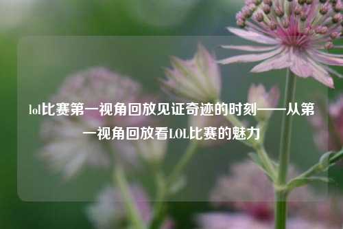 lol比赛第一视角回放见证奇迹的时刻——从第一视角回放看LOL比赛的魅力