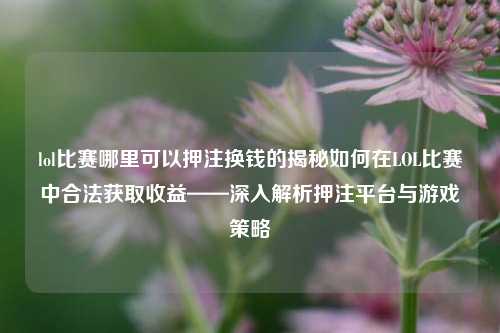 lol比赛哪里可以押注换钱的揭秘如何在LOL比赛中合法获取收益——深入解析押注平台与游戏策略