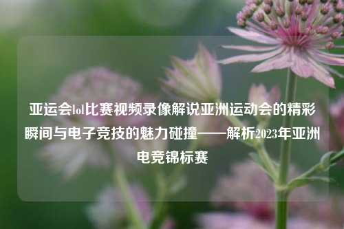 亚运会lol比赛视频录像解说亚洲运动会的精彩瞬间与电子竞技的魅力碰撞——解析2023年亚洲电竞锦标赛