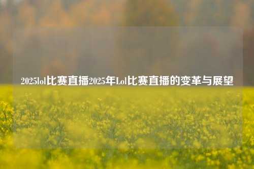 2025lol比赛直播2025年Lol比赛直播的变革与展望