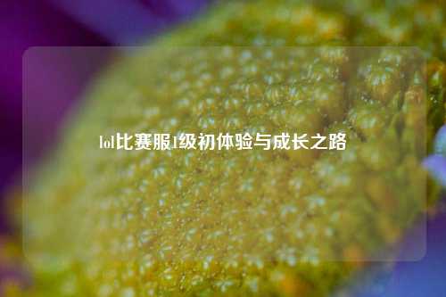 lol比赛服1级初体验与成长之路