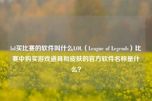 lol买比赛的软件叫什么LOL（League of Legends）比赛中购买游戏道具和皮肤的官方软件名称是什么？