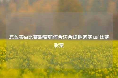 怎么买lol比赛彩票如何合法合规地购买LOL比赛彩票