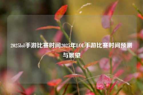 2025lol手游比赛时间2025年LOL手游比赛时间预测与展望