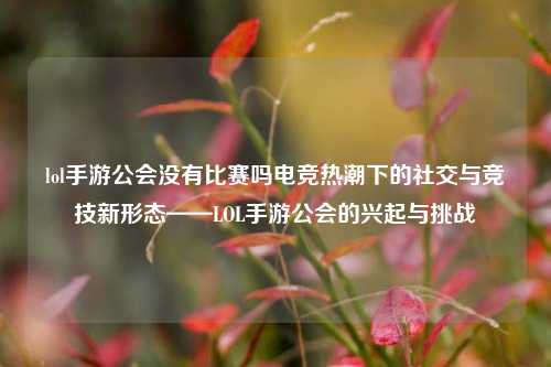 lol手游公会没有比赛吗电竞热潮下的社交与竞技新形态——LOL手游公会的兴起与挑战