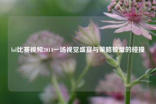 lol比赛视频2014一场视觉盛宴与策略较量的碰撞