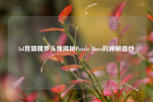 lol竞猜魄罗头像揭秘Puzzle Hero的神秘面纱