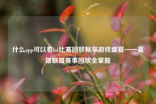 什么app可以看lol比赛回放畅享游戏盛宴——英雄联盟赛事回放全掌握