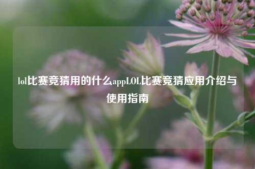 lol比赛竞猜用的什么appLOL比赛竞猜应用介绍与使用指南