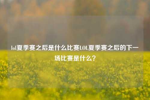 lol夏季赛之后是什么比赛LOL夏季赛之后的下一场比赛是什么？