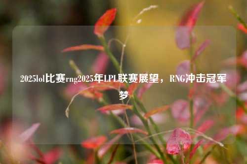 2025lol比赛rng2025年LPL联赛展望，RNG冲击冠军梦