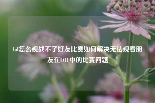 lol怎么观战不了好友比赛如何解决无法观看朋友在LOL中的比赛问题