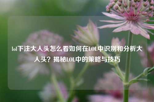 lol下注大人头怎么看如何在LOL中识别和分析大人头？揭秘LOL中的策略与技巧
