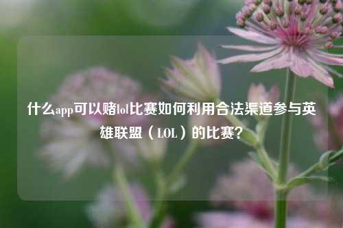 什么app可以赌lol比赛如何利用合法渠道参与英雄联盟（LOL）的比赛？