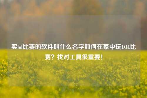买lol比赛的软件叫什么名字如何在家中玩LOL比赛？找对工具很重要！
