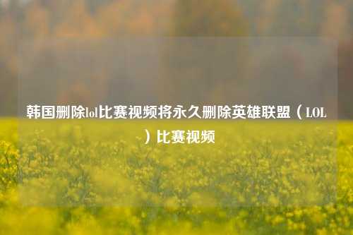 韩国删除lol比赛视频将永久删除英雄联盟（LOL）比赛视频