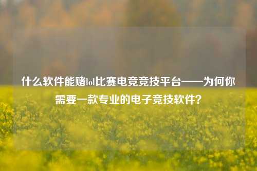 什么软件能赌lol比赛电竞竞技平台——为何你需要一款专业的电子竞技软件？