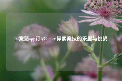 lol竞猜app订ly79丶cn探索竞技的乐趣与挑战