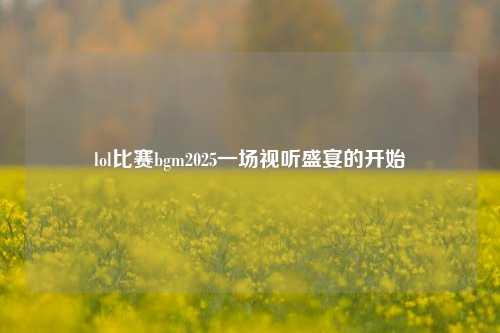 lol比赛bgm2025一场视听盛宴的开始