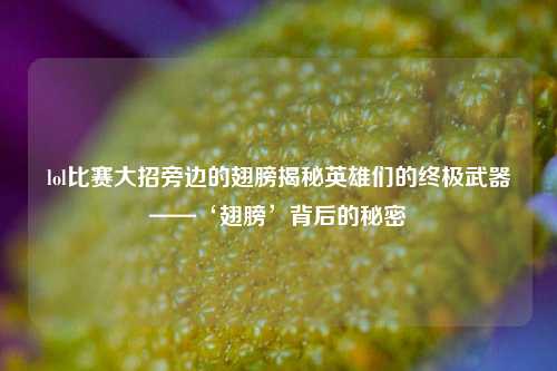 lol比赛大招旁边的翅膀揭秘英雄们的终极武器——‘翅膀’背后的秘密