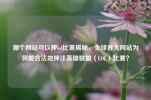 哪个网站可以押lol比赛揭秘，全球各大网站为何能合法地押注英雄联盟（LOL）比赛？