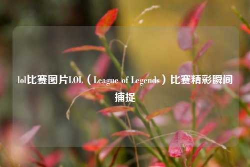 lol比赛图片LOL（League of Legends）比赛精彩瞬间捕捉