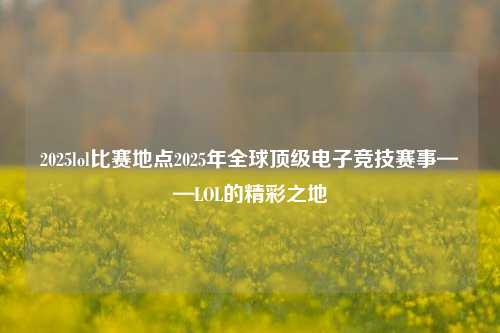 2025lol比赛地点2025年全球顶级电子竞技赛事——LOL的精彩之地