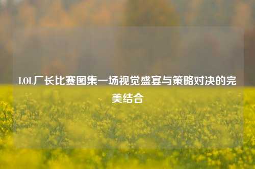 LOL厂长比赛图集一场视觉盛宴与策略对决的完美结合