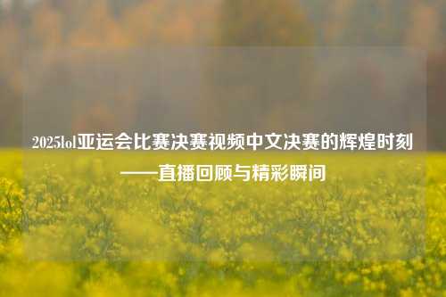2025lol亚运会比赛决赛视频中文决赛的辉煌时刻——直播回顾与精彩瞬间